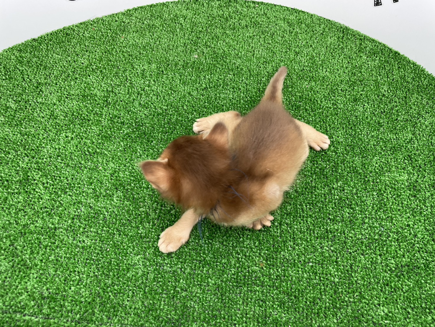 赤ちゃん写真1-3
