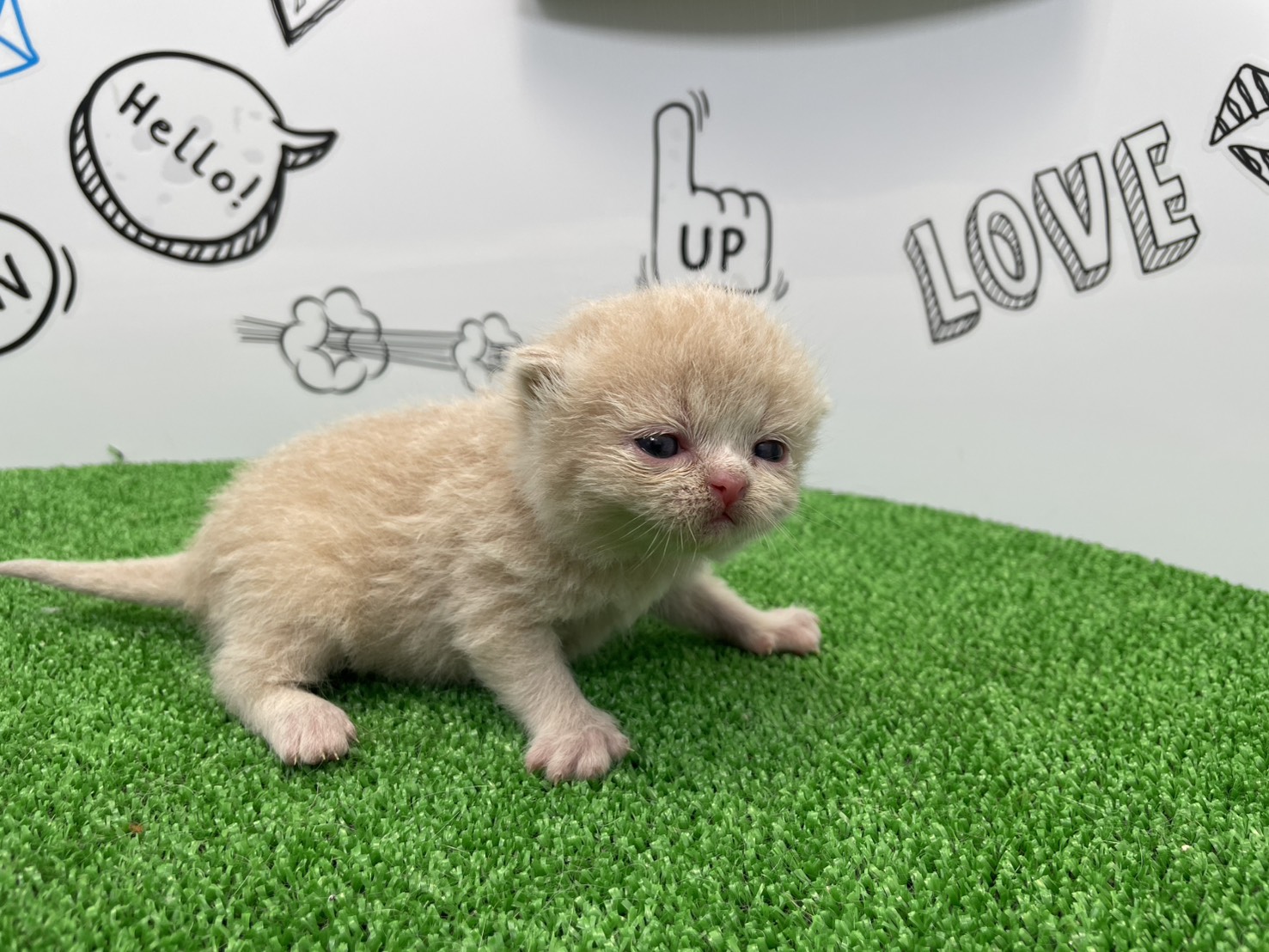 赤ちゃん写真1-1