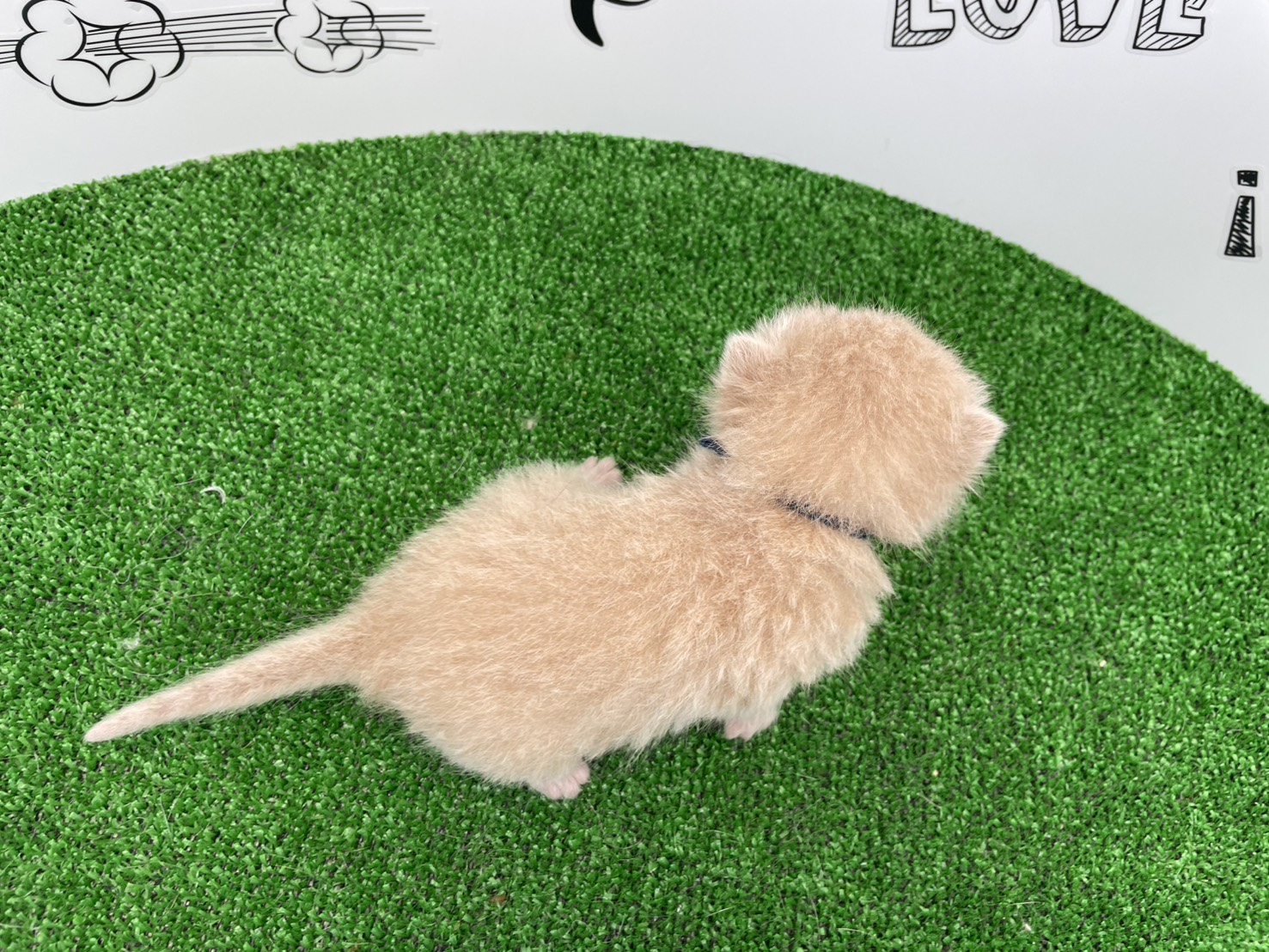 赤ちゃん写真1-3