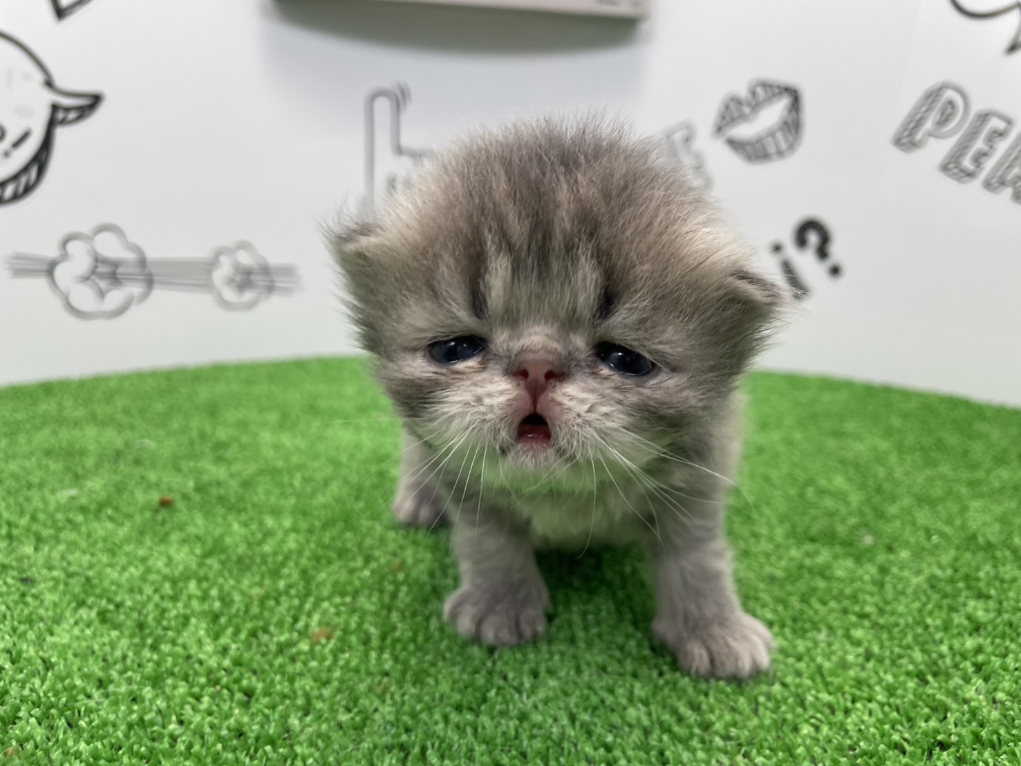 赤ちゃん写真1-1