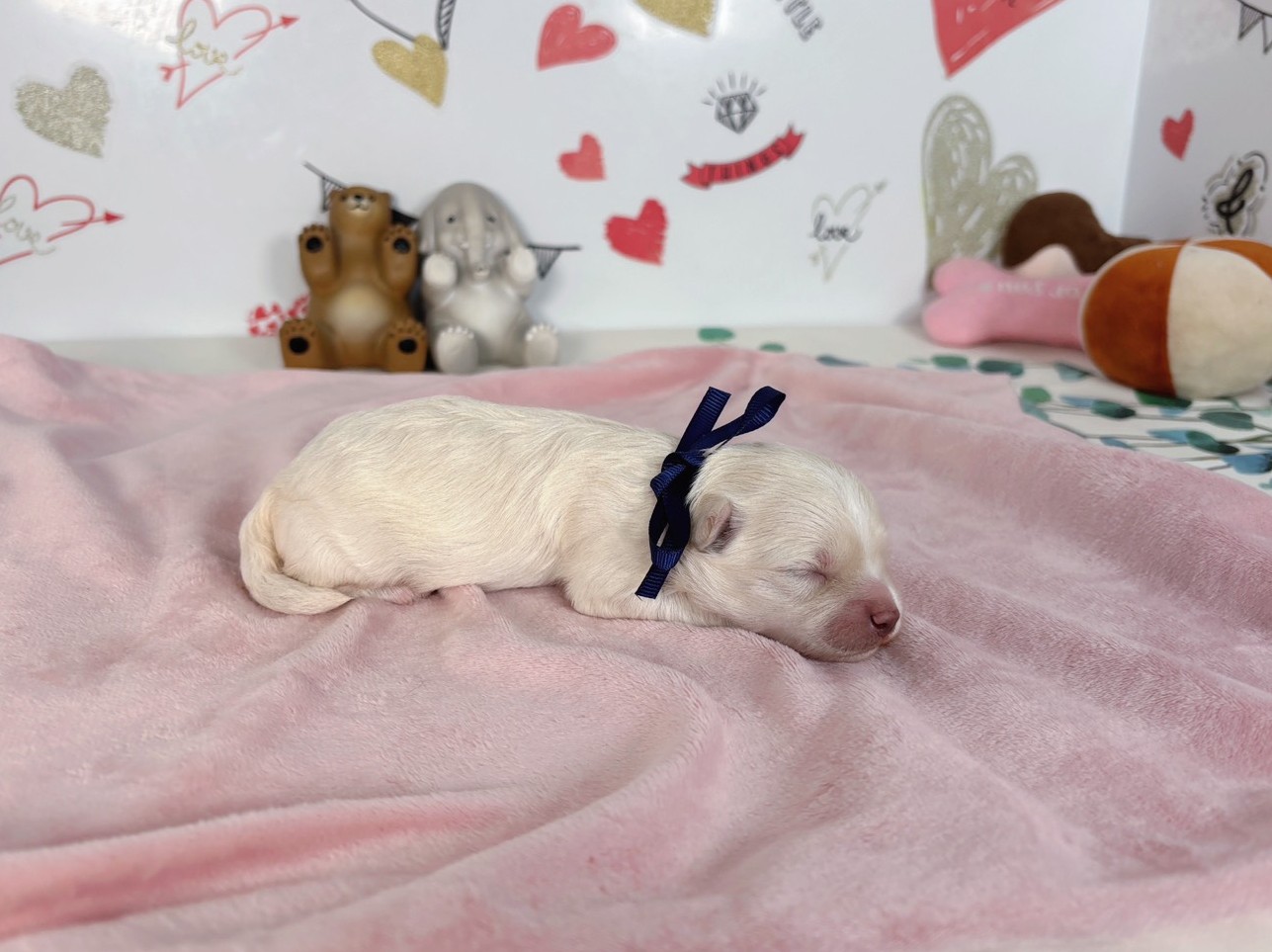 赤ちゃん写真1-2