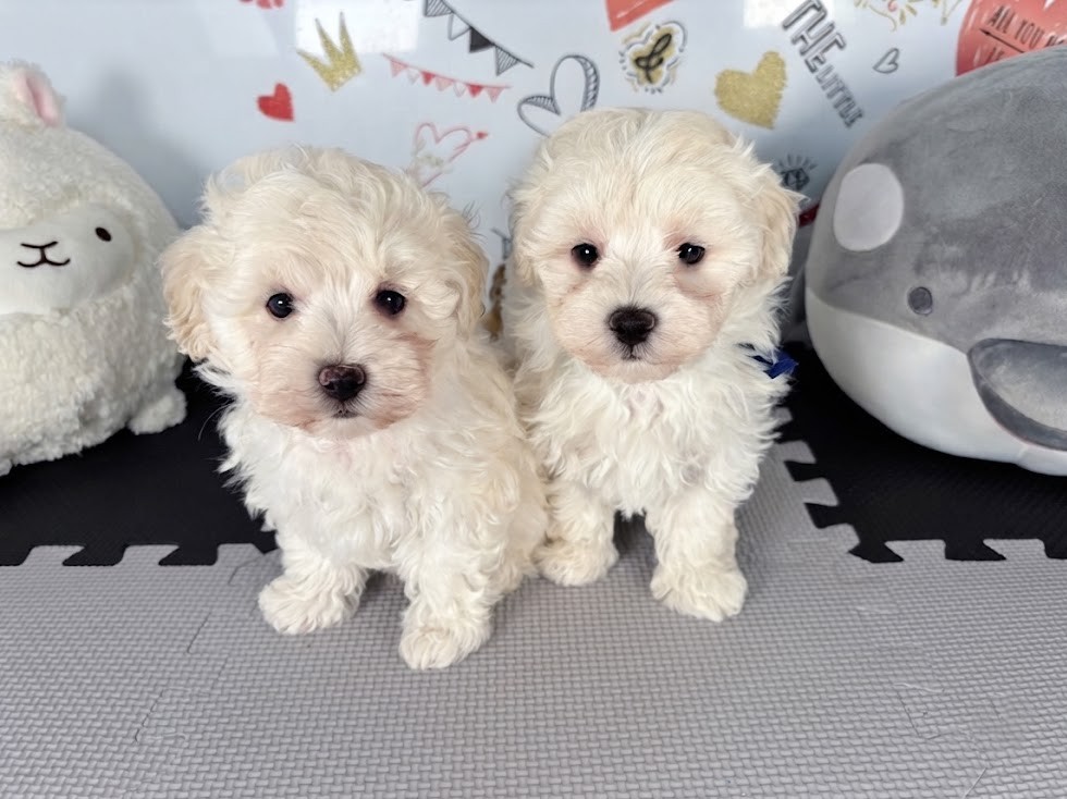 赤ちゃん写真2-3