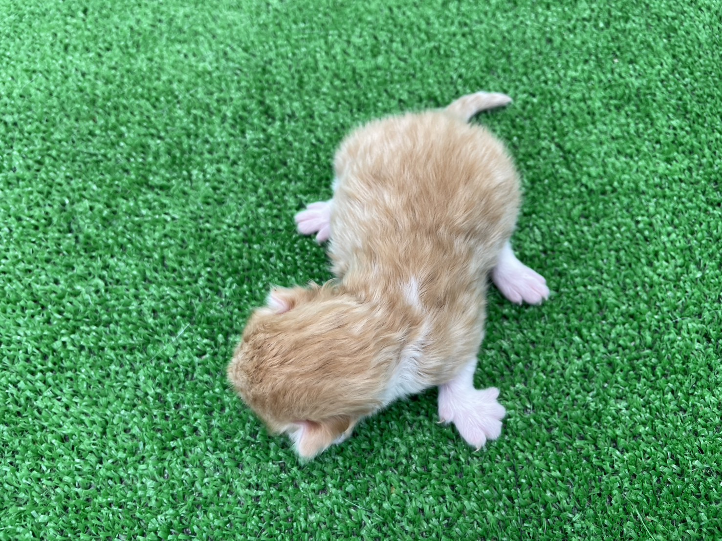 赤ちゃん写真1-3