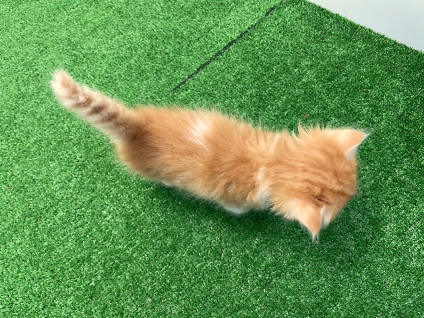 赤ちゃん写真2-3