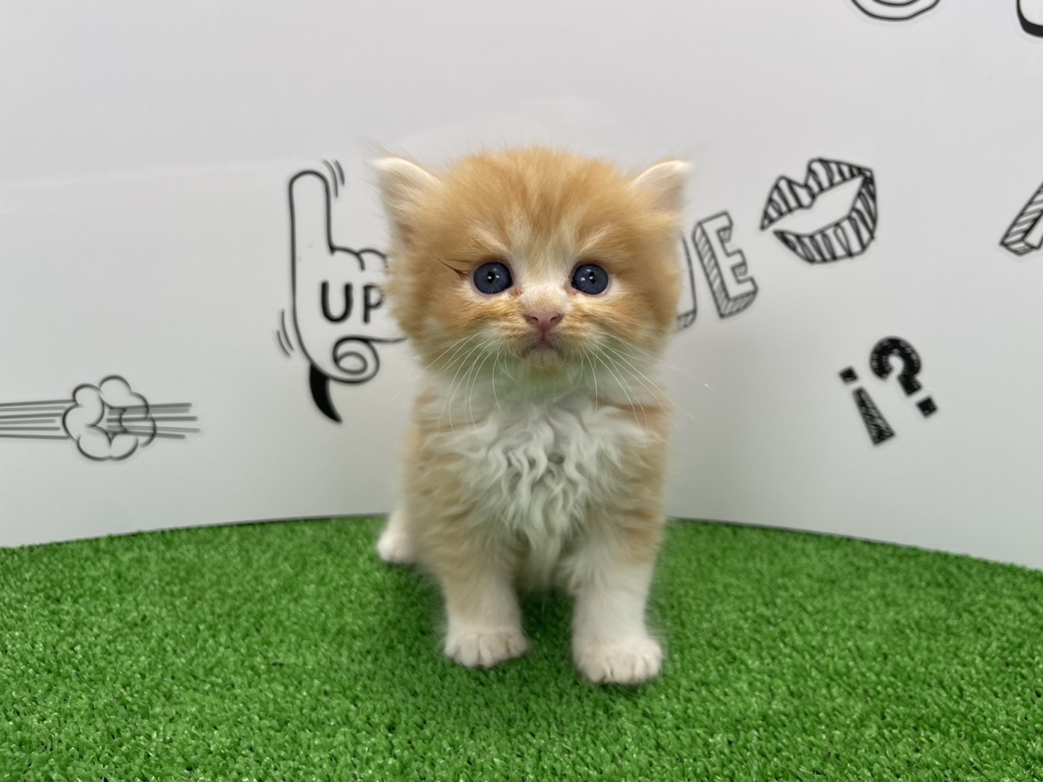 赤ちゃん写真2-1