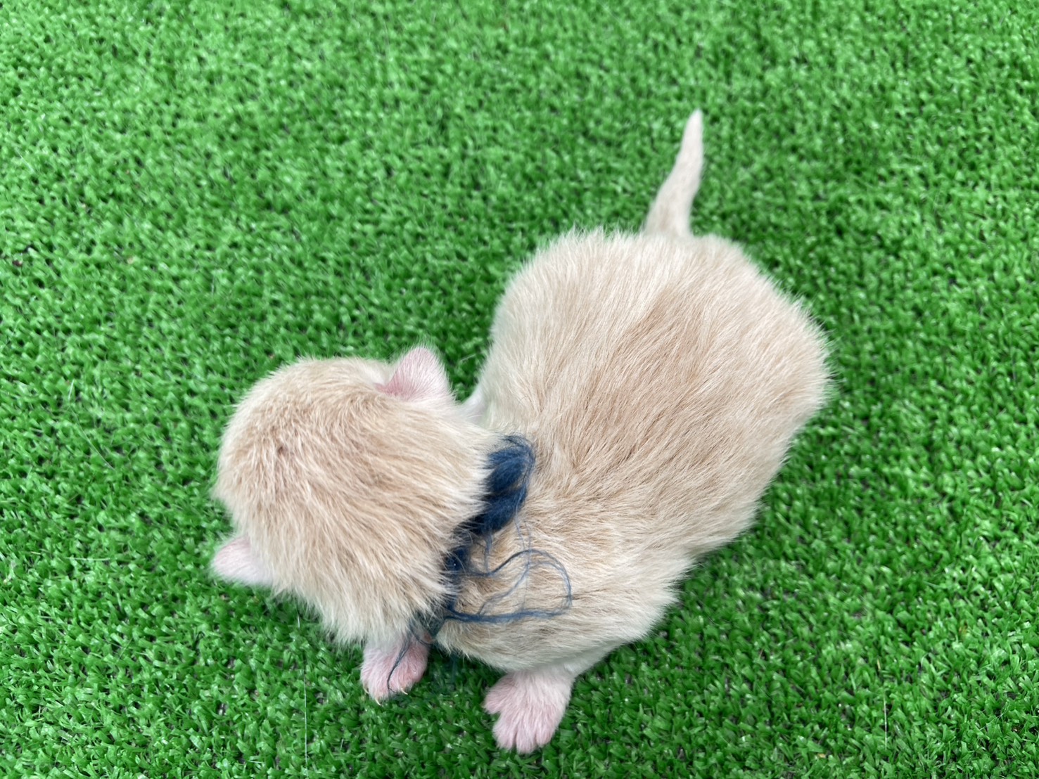 赤ちゃん写真1-3