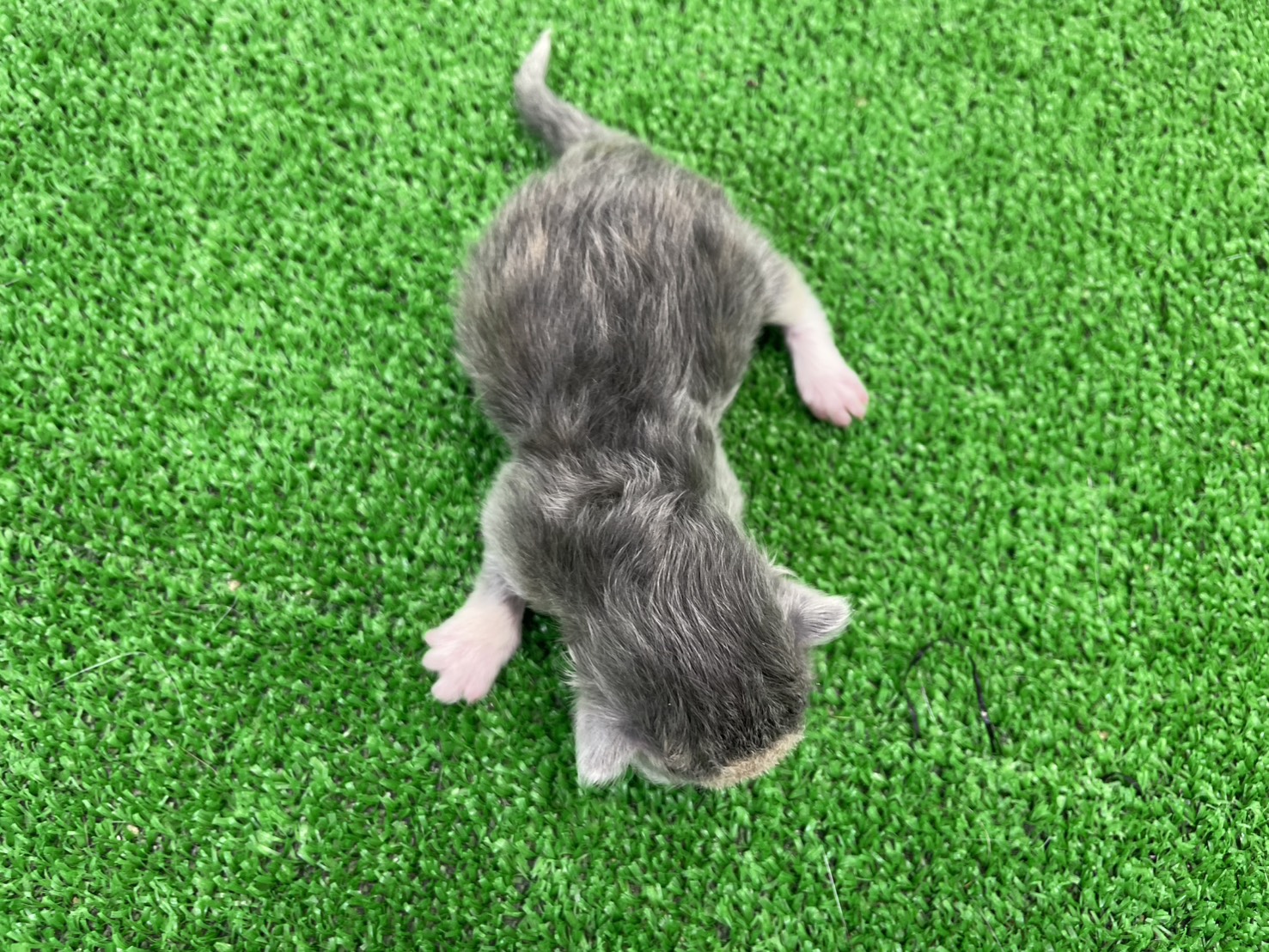 赤ちゃん写真1-3