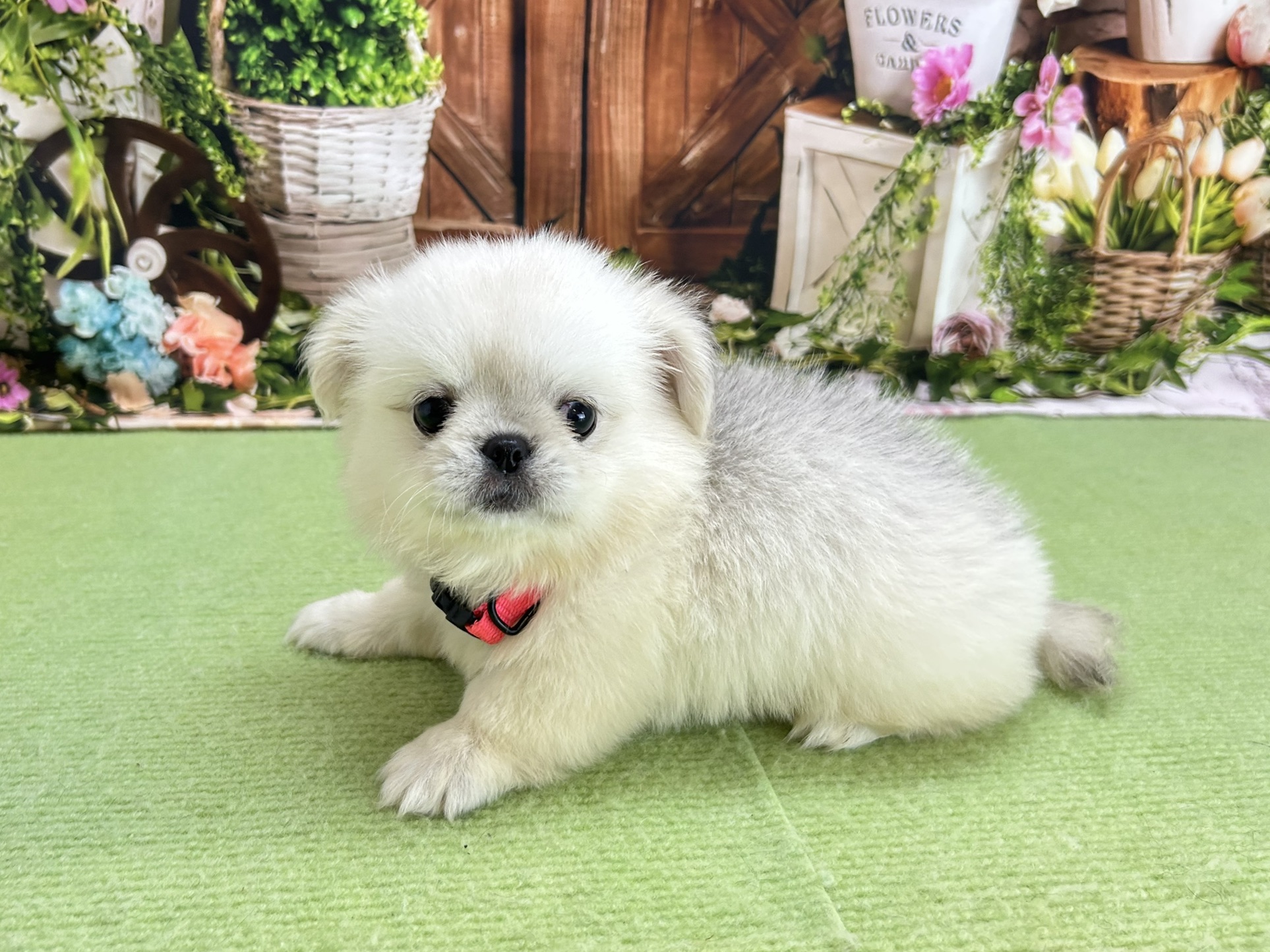 赤ちゃん写真3-2