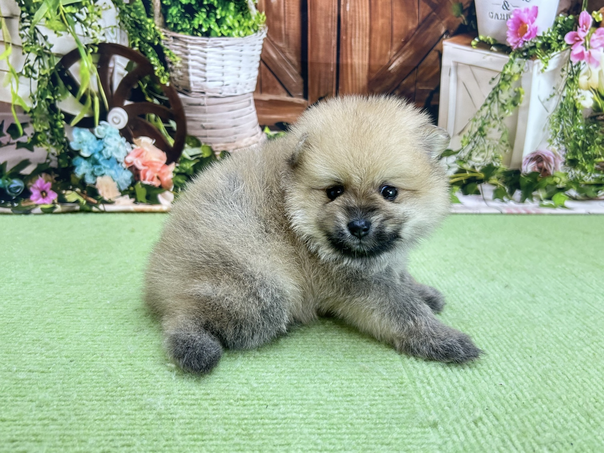 赤ちゃん写真2-2
