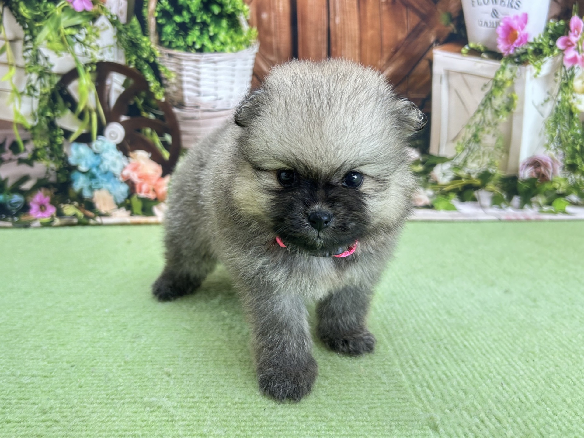 赤ちゃん写真2-1