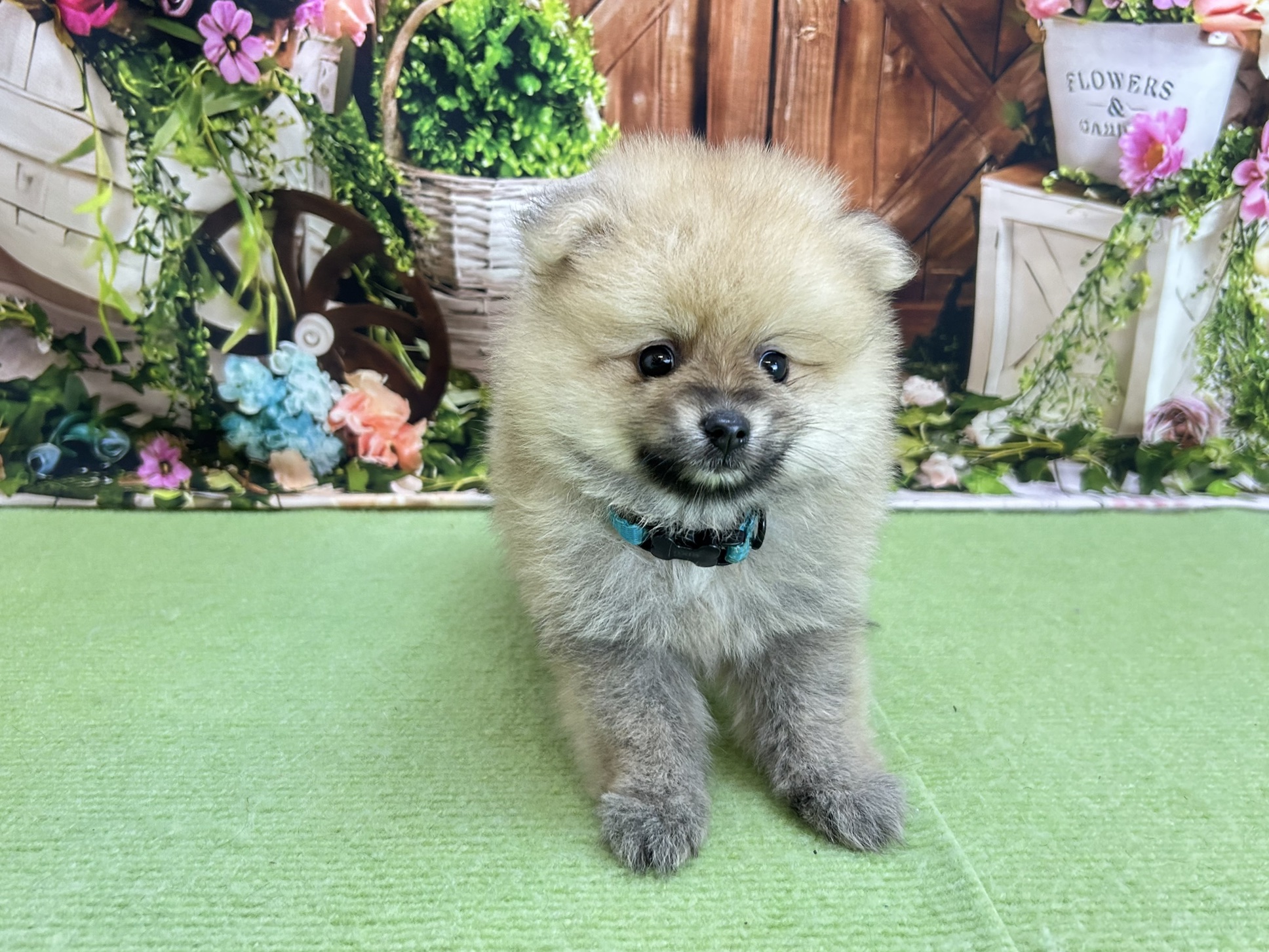 赤ちゃん写真3-1