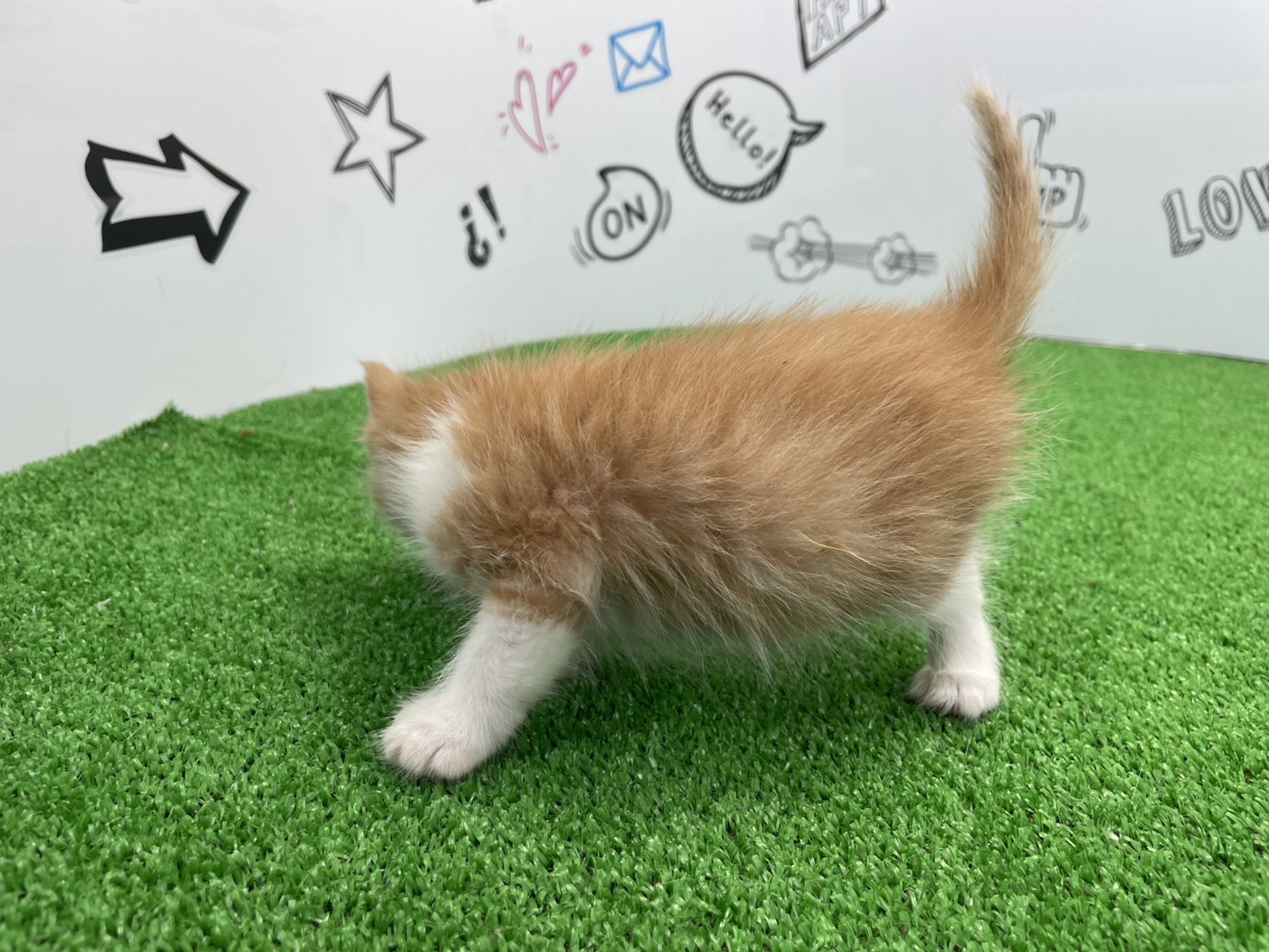 赤ちゃん写真2-2