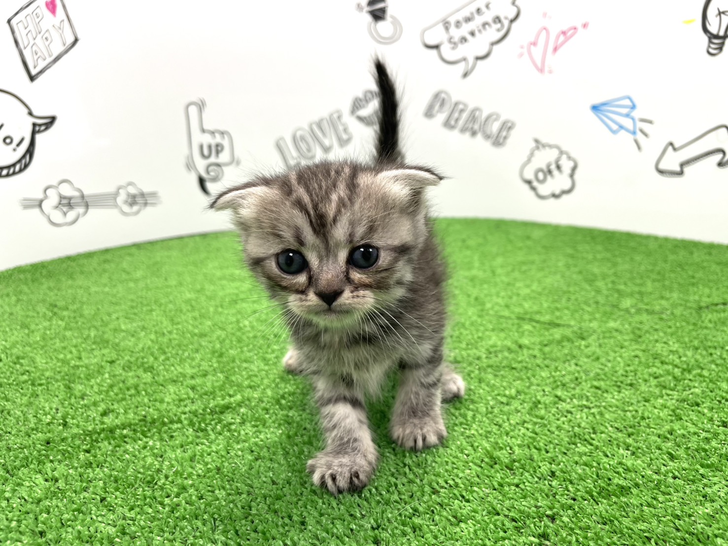 赤ちゃん写真2-1