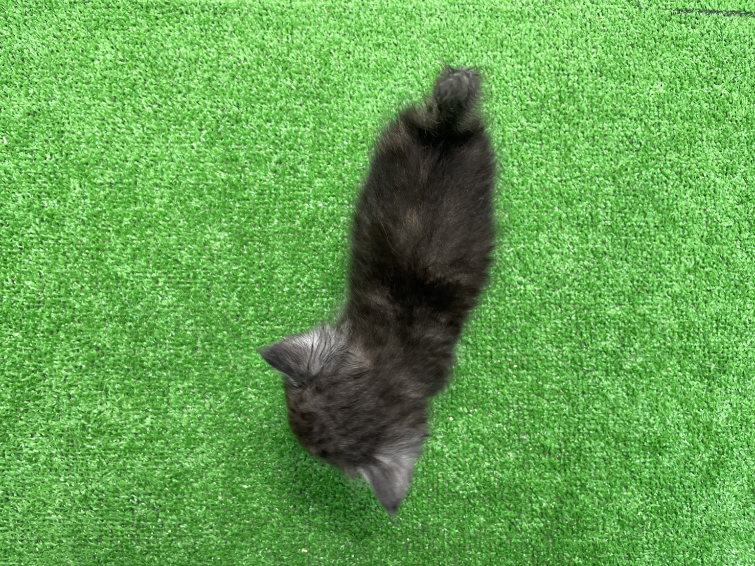 赤ちゃん写真2-3