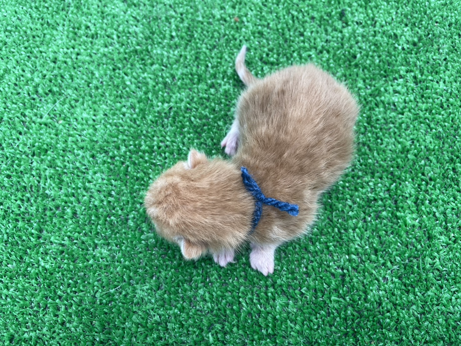 赤ちゃん写真1-3