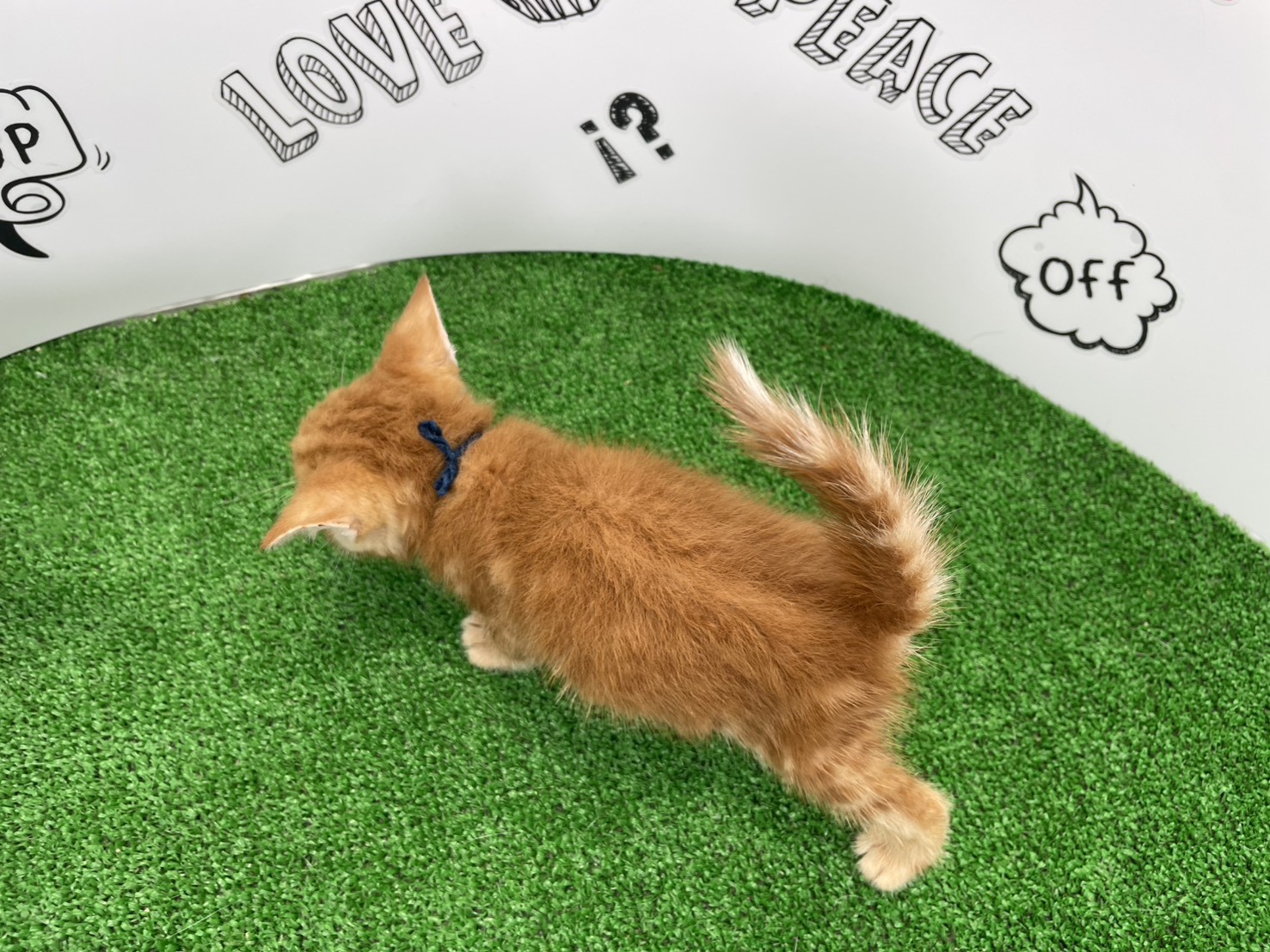 赤ちゃん写真2-3