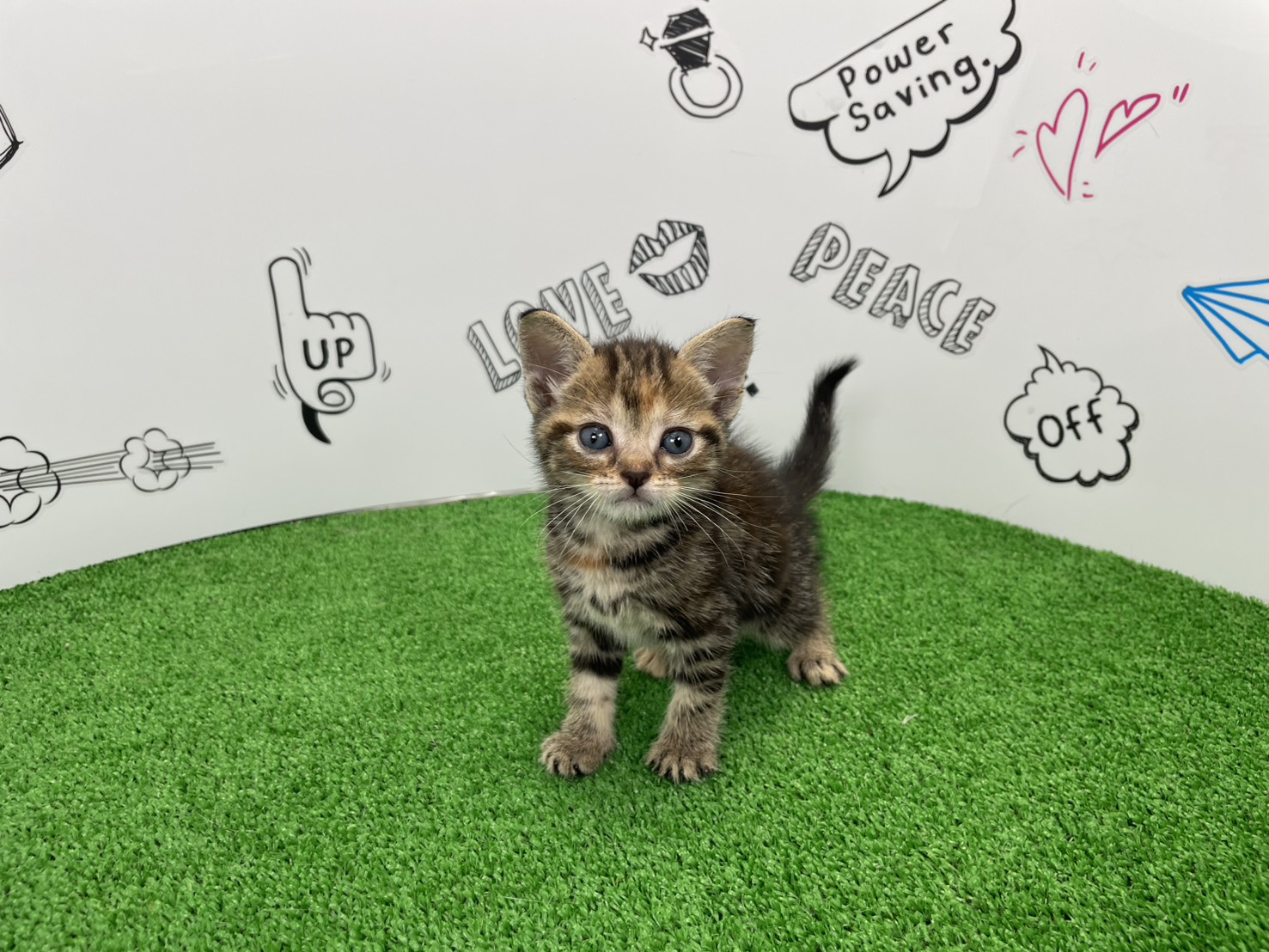 赤ちゃん写真2-1