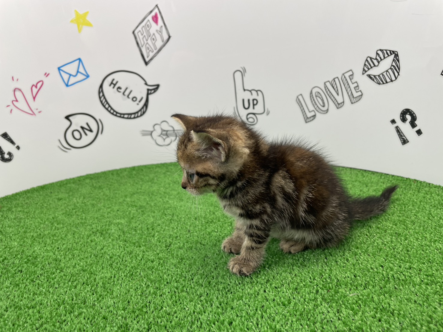 赤ちゃん写真2-2