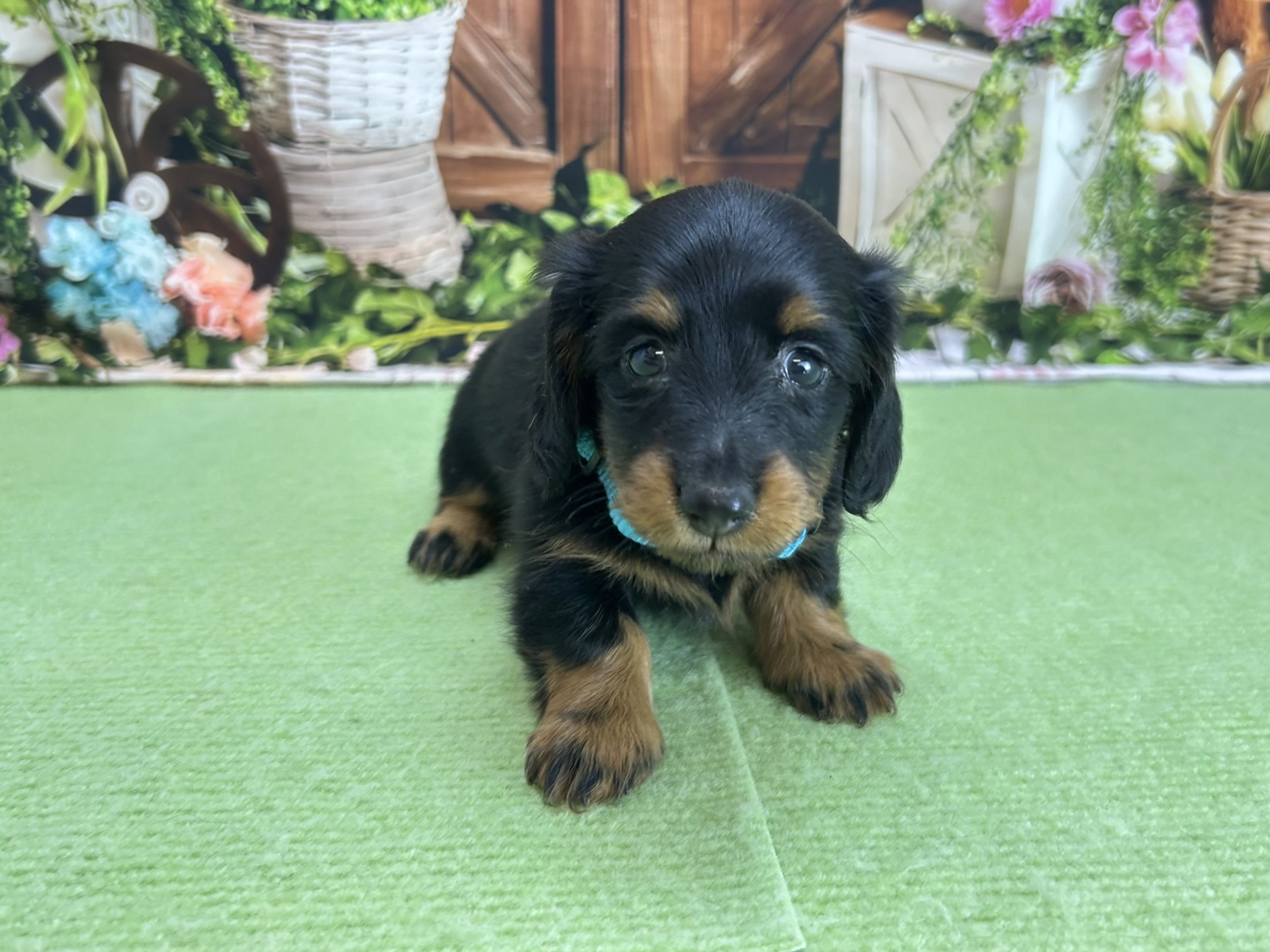 赤ちゃん写真2-1