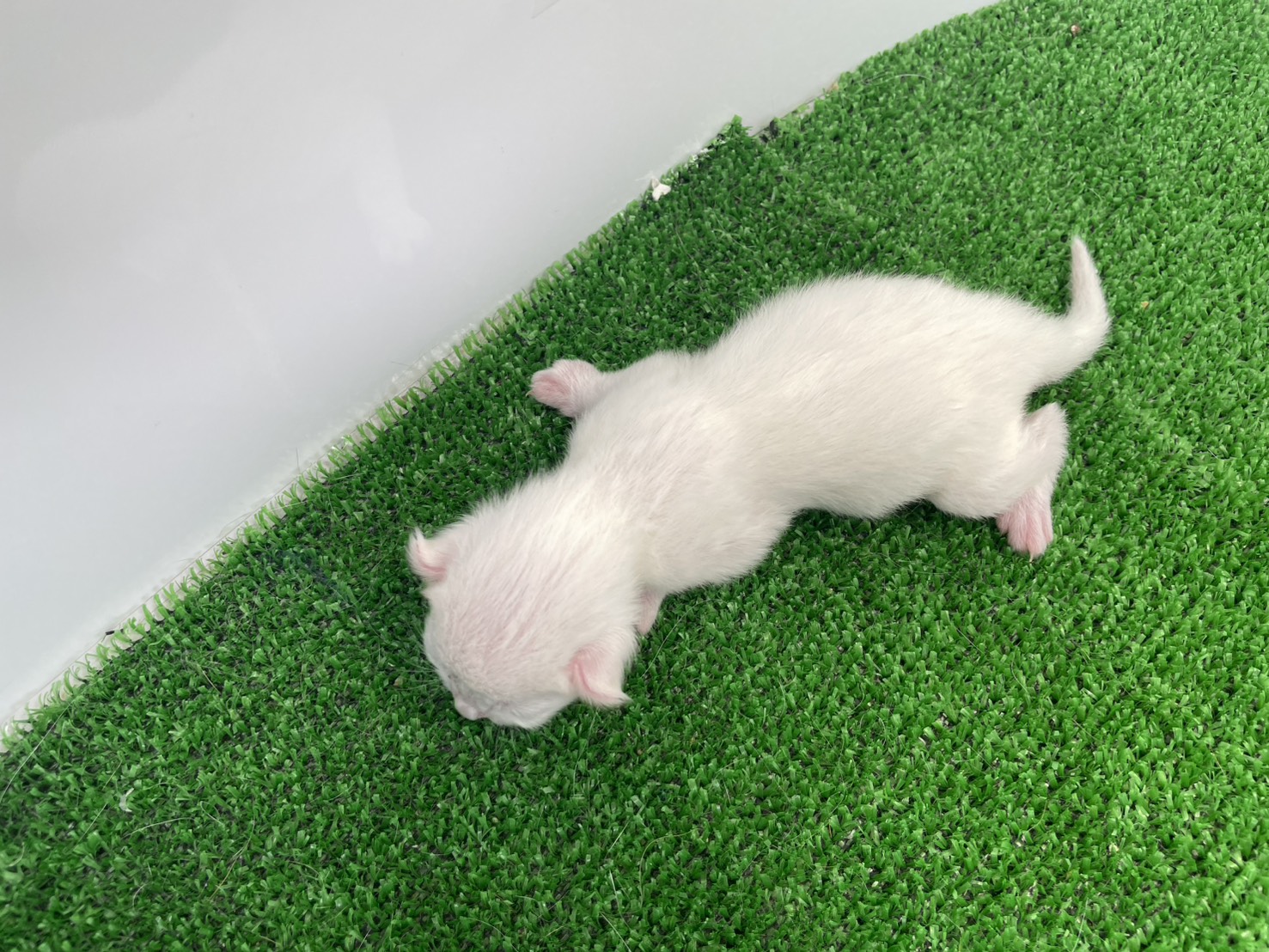 赤ちゃん写真1-3