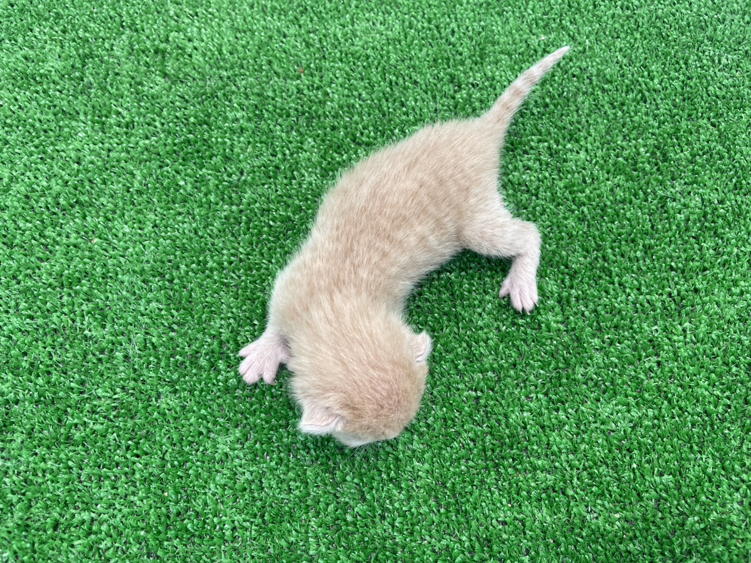 赤ちゃん写真1-3