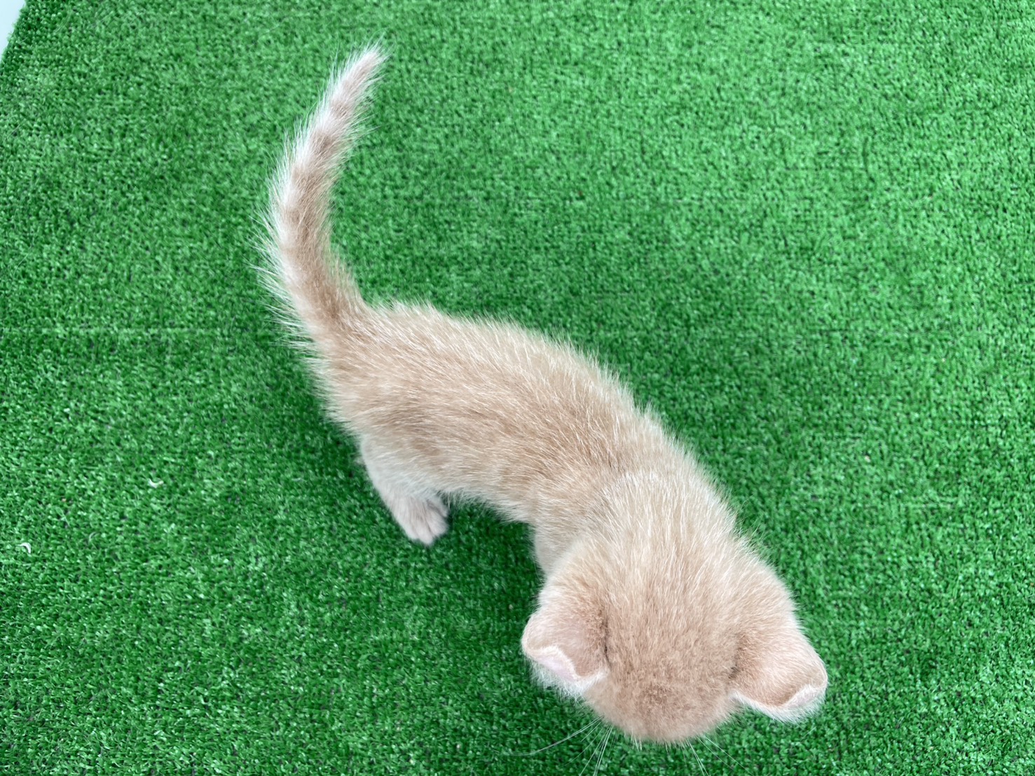 赤ちゃん写真2-3