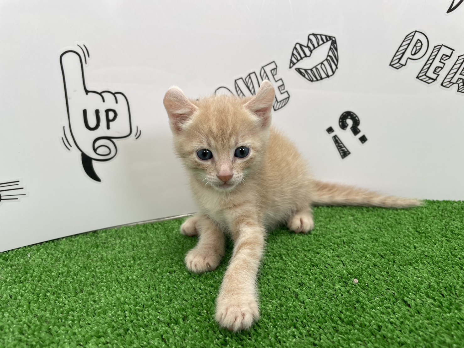 赤ちゃん写真2-1