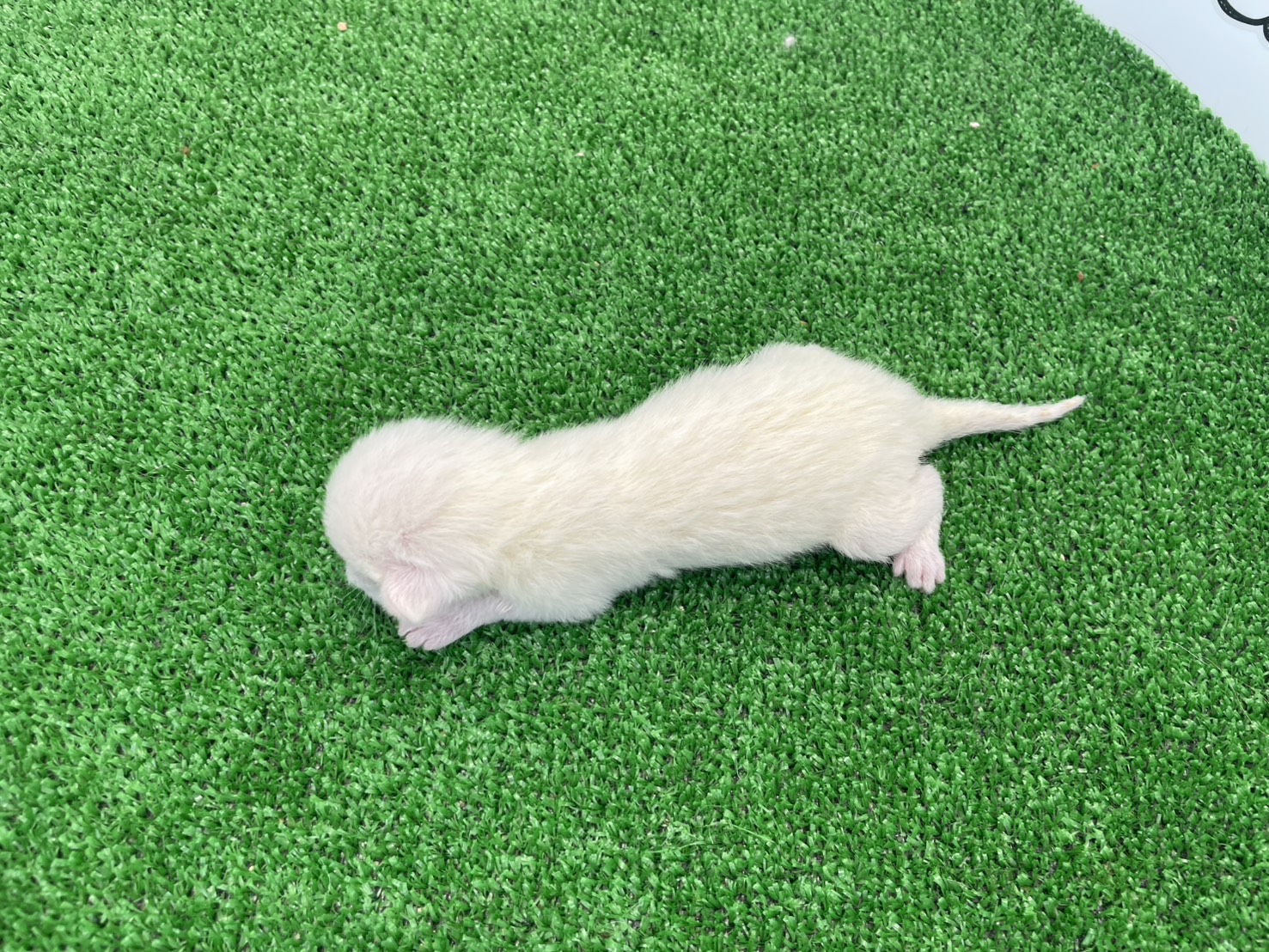 赤ちゃん写真1-3