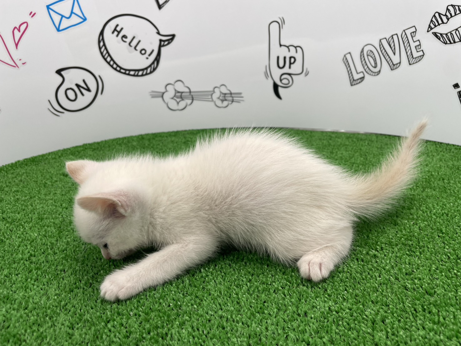 赤ちゃん写真2-2