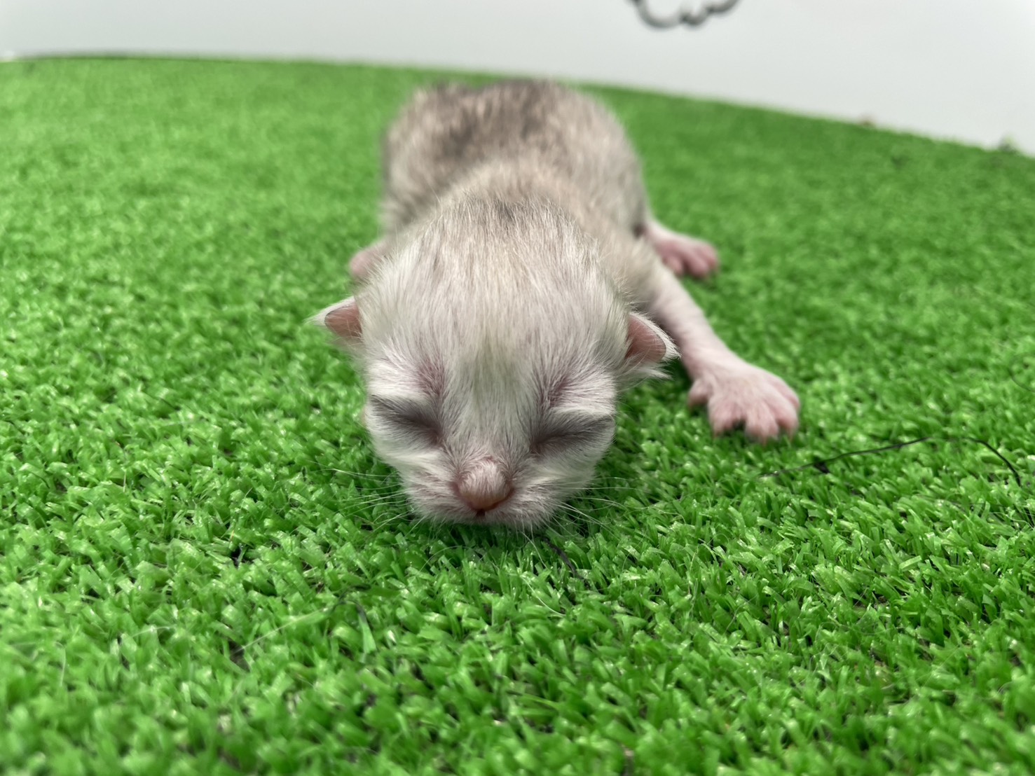 赤ちゃん写真1-1