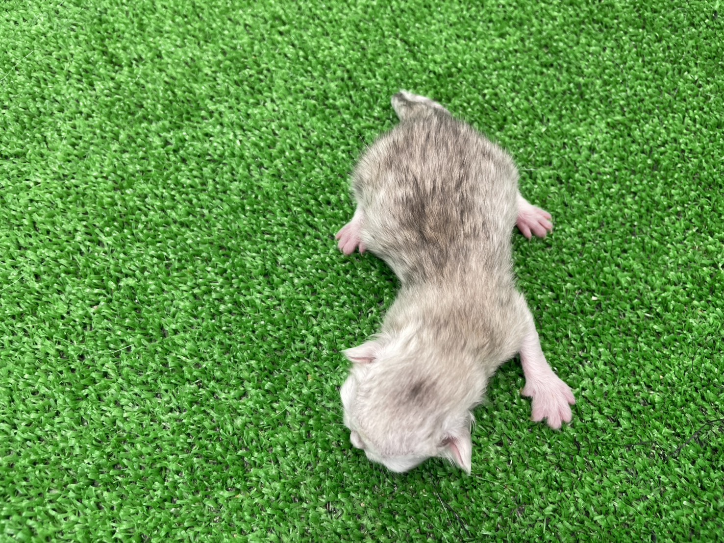 赤ちゃん写真1-3