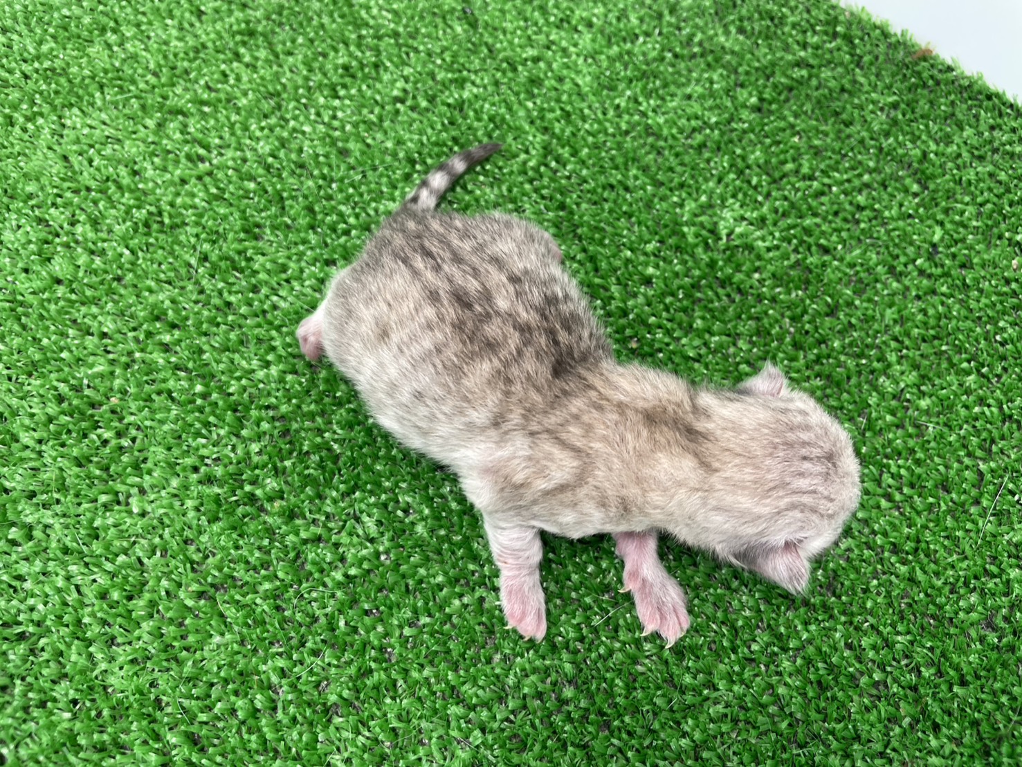 赤ちゃん写真1-3