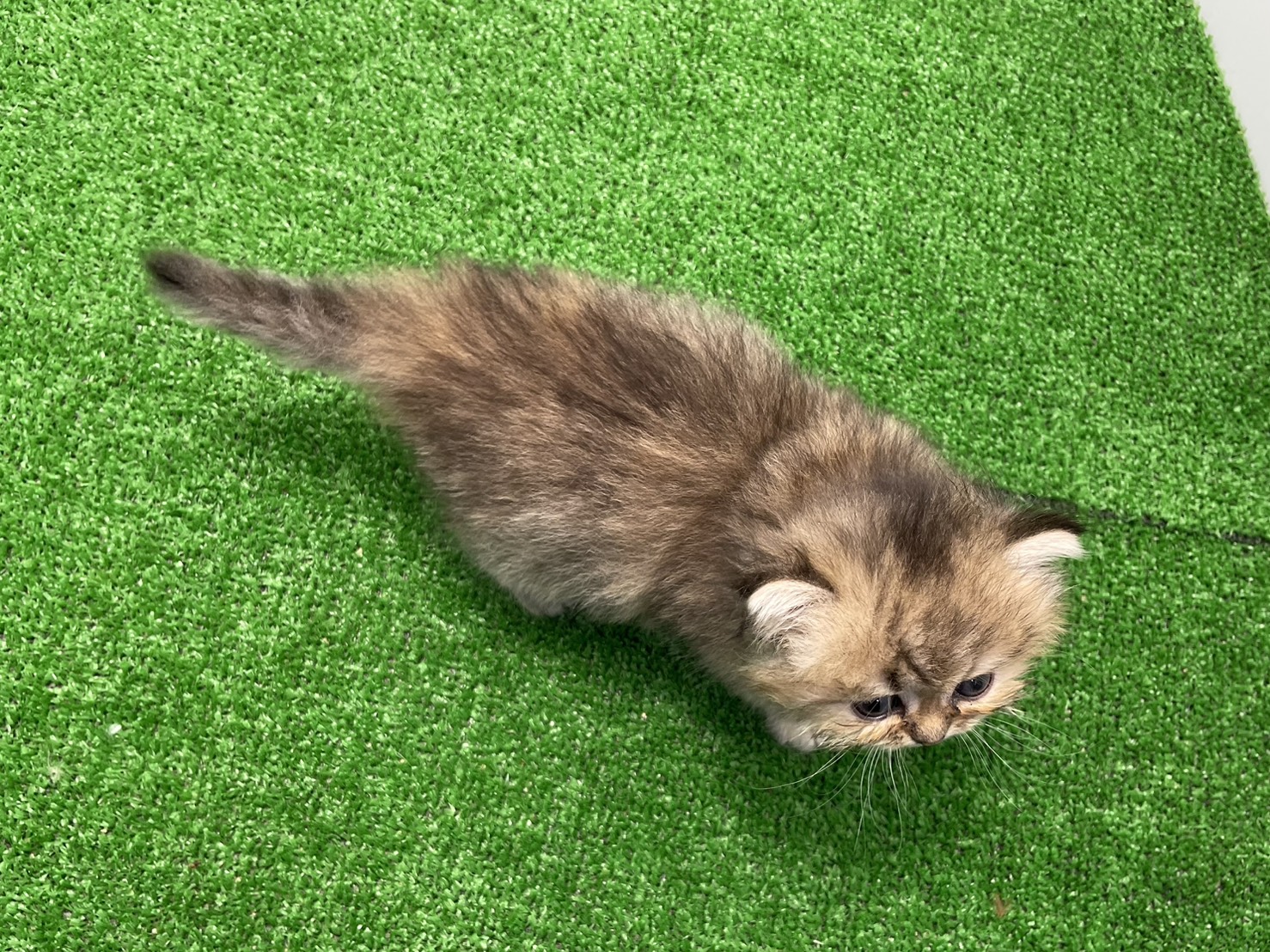 赤ちゃん写真2-3