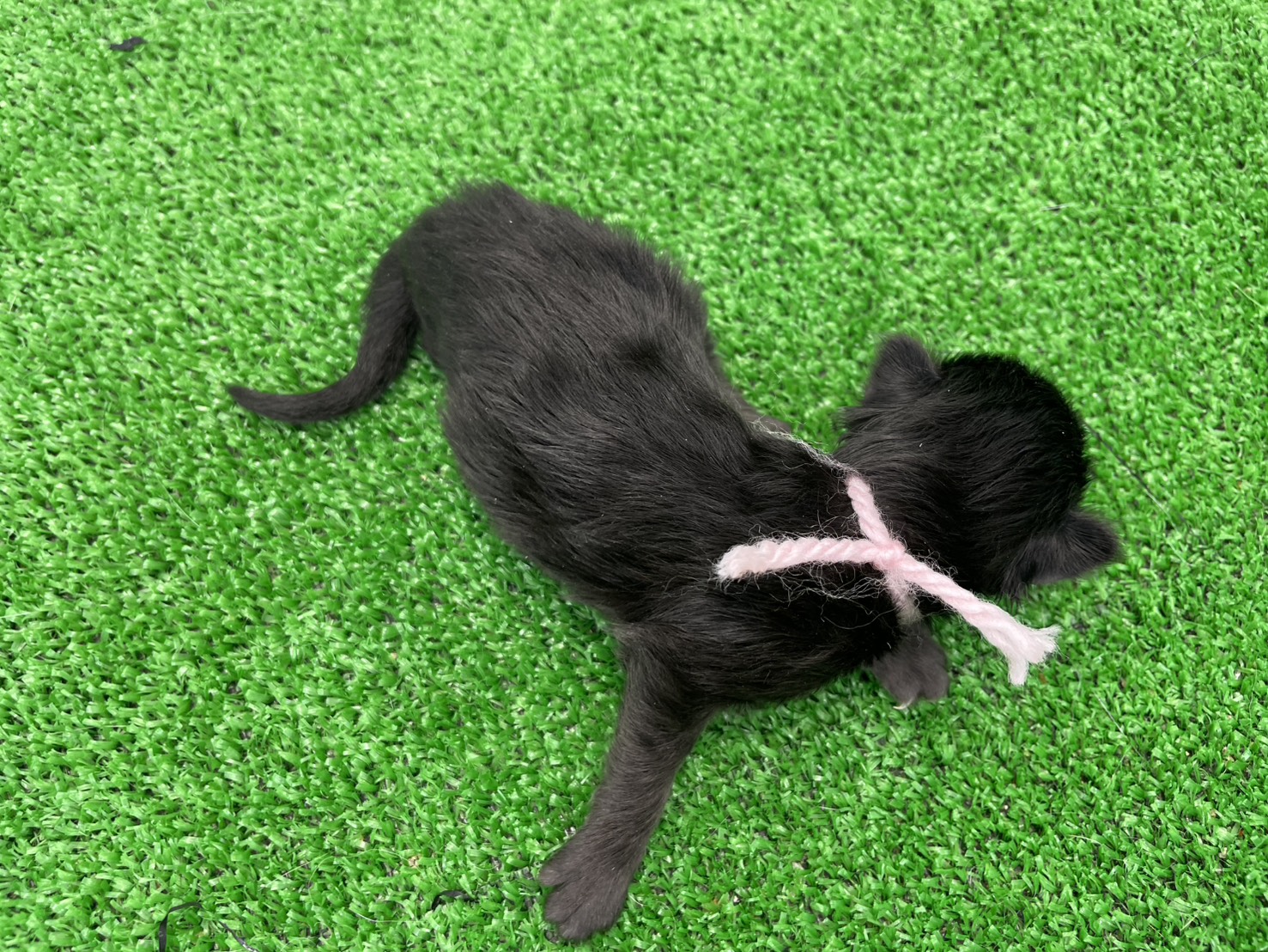 赤ちゃん写真1-3