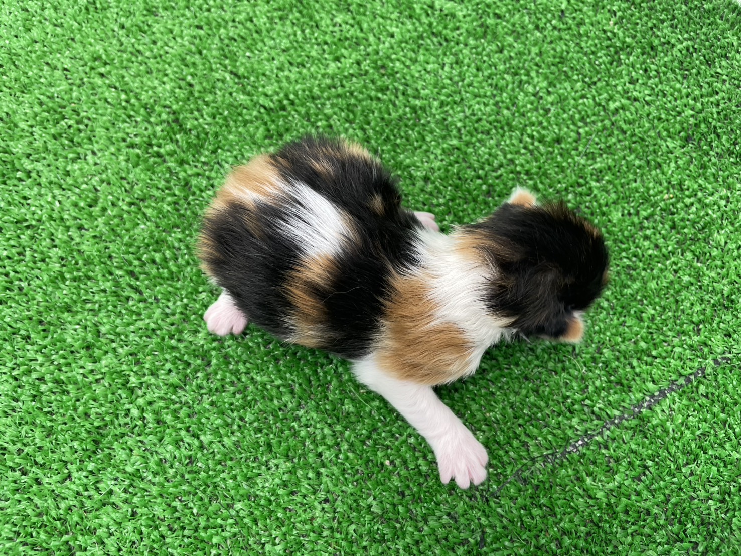 赤ちゃん写真1-3