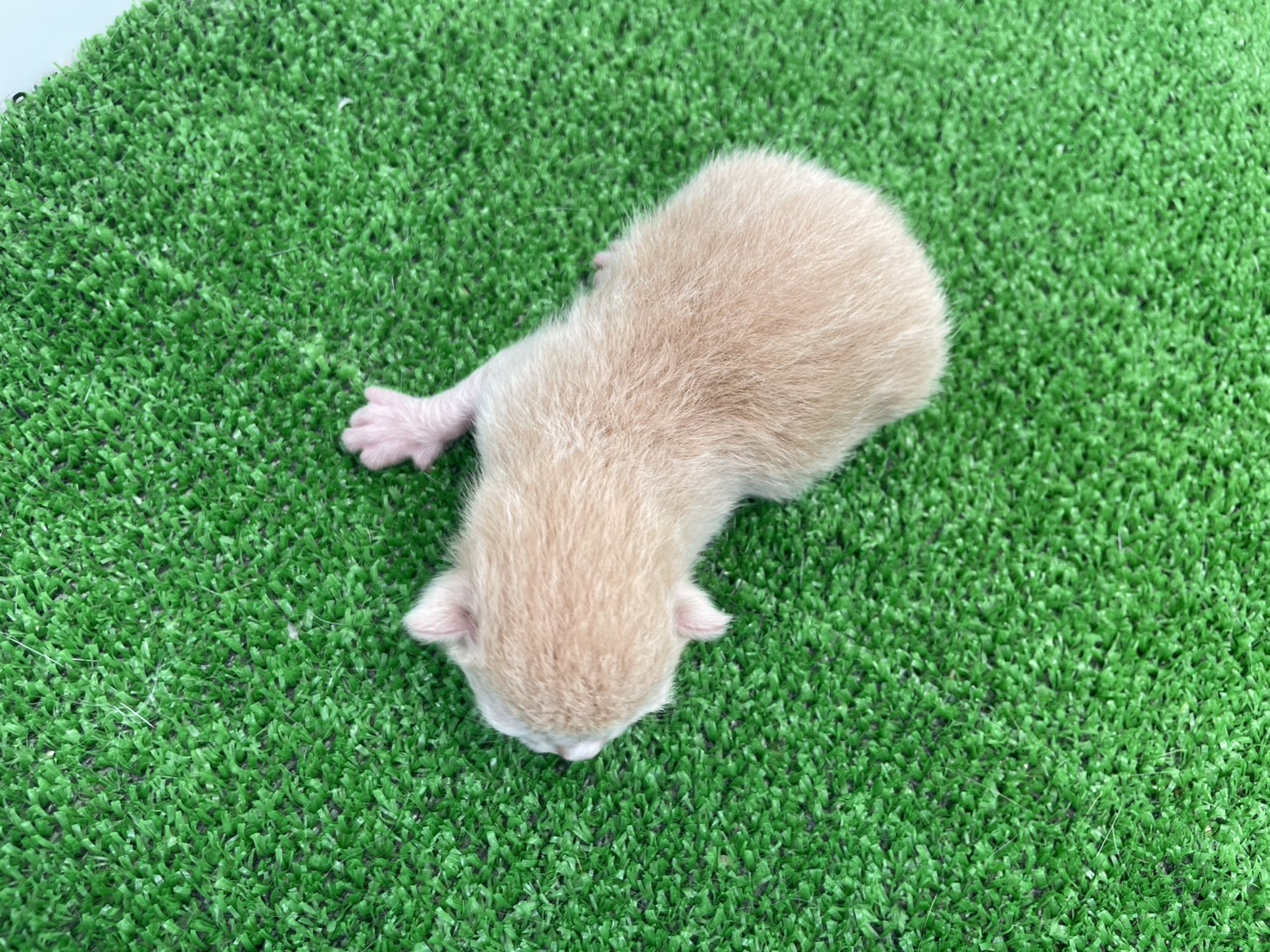 赤ちゃん写真1-3