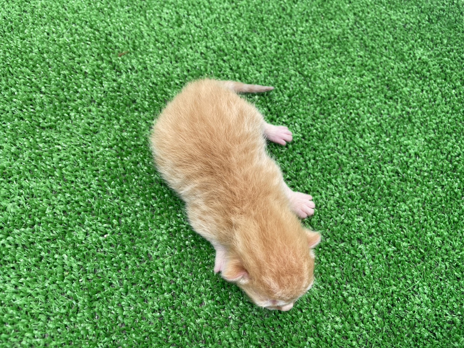 赤ちゃん写真1-3