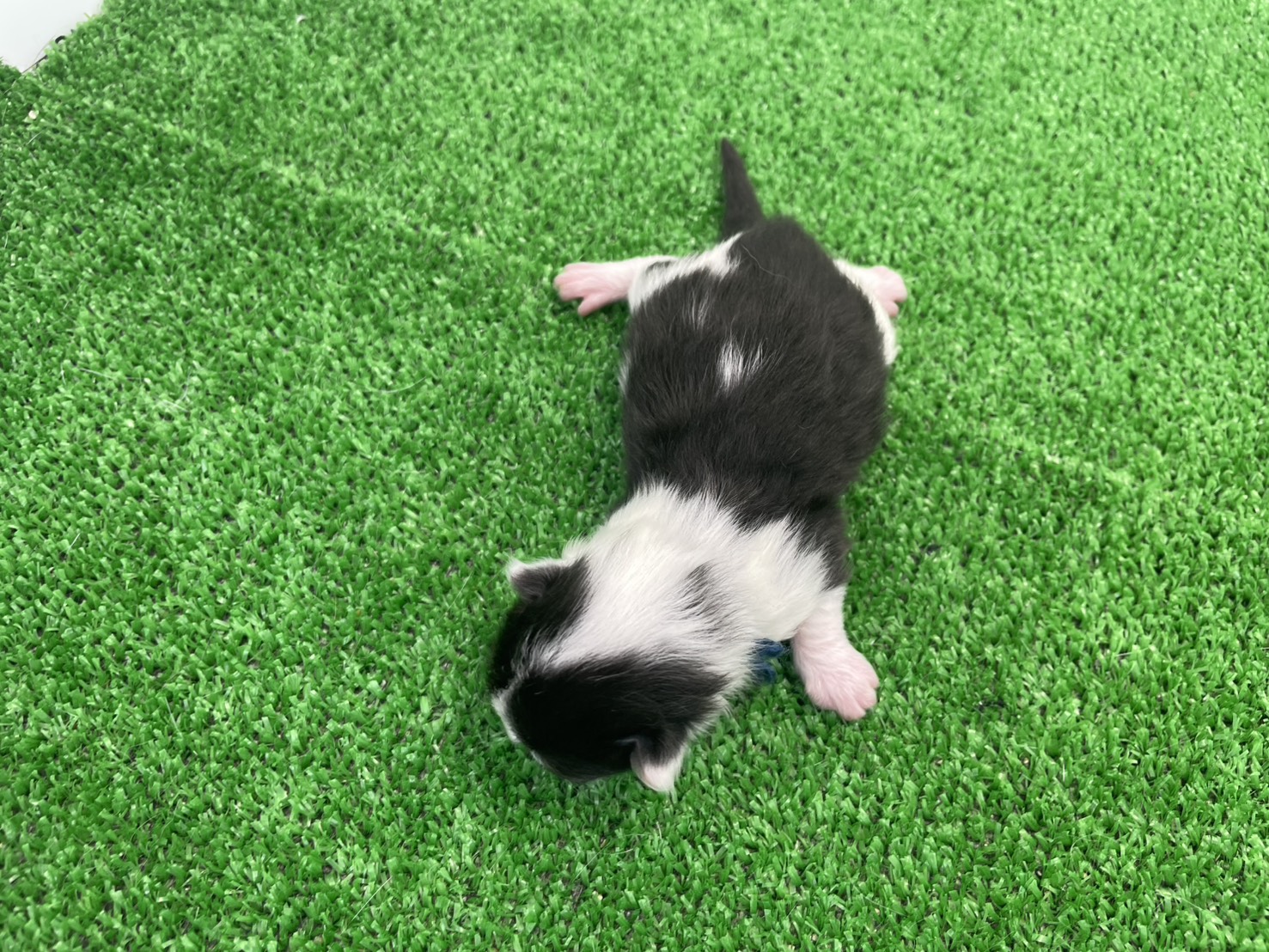 赤ちゃん写真1-3
