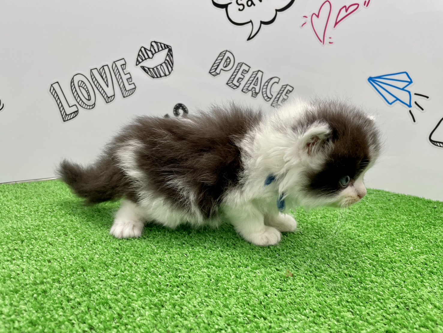 赤ちゃん写真2-2