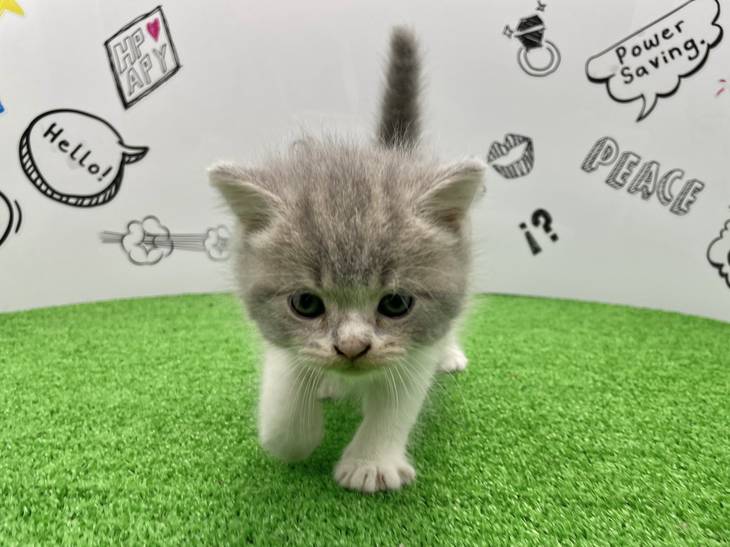 赤ちゃん写真2-1