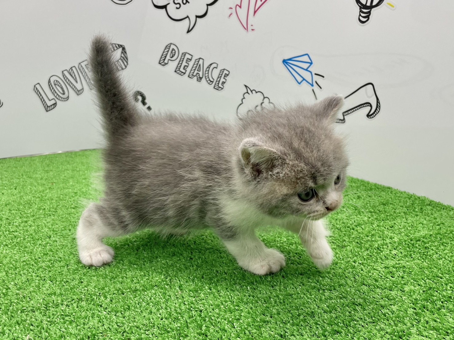 赤ちゃん写真2-2