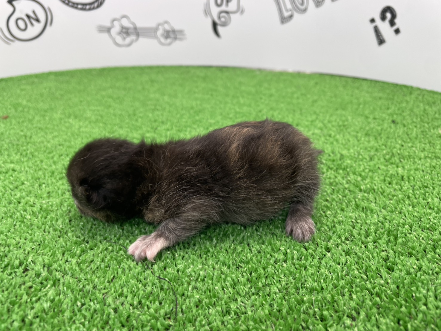 赤ちゃん写真1-2