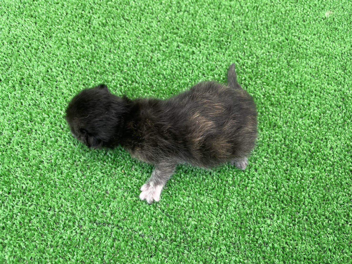 赤ちゃん写真1-3