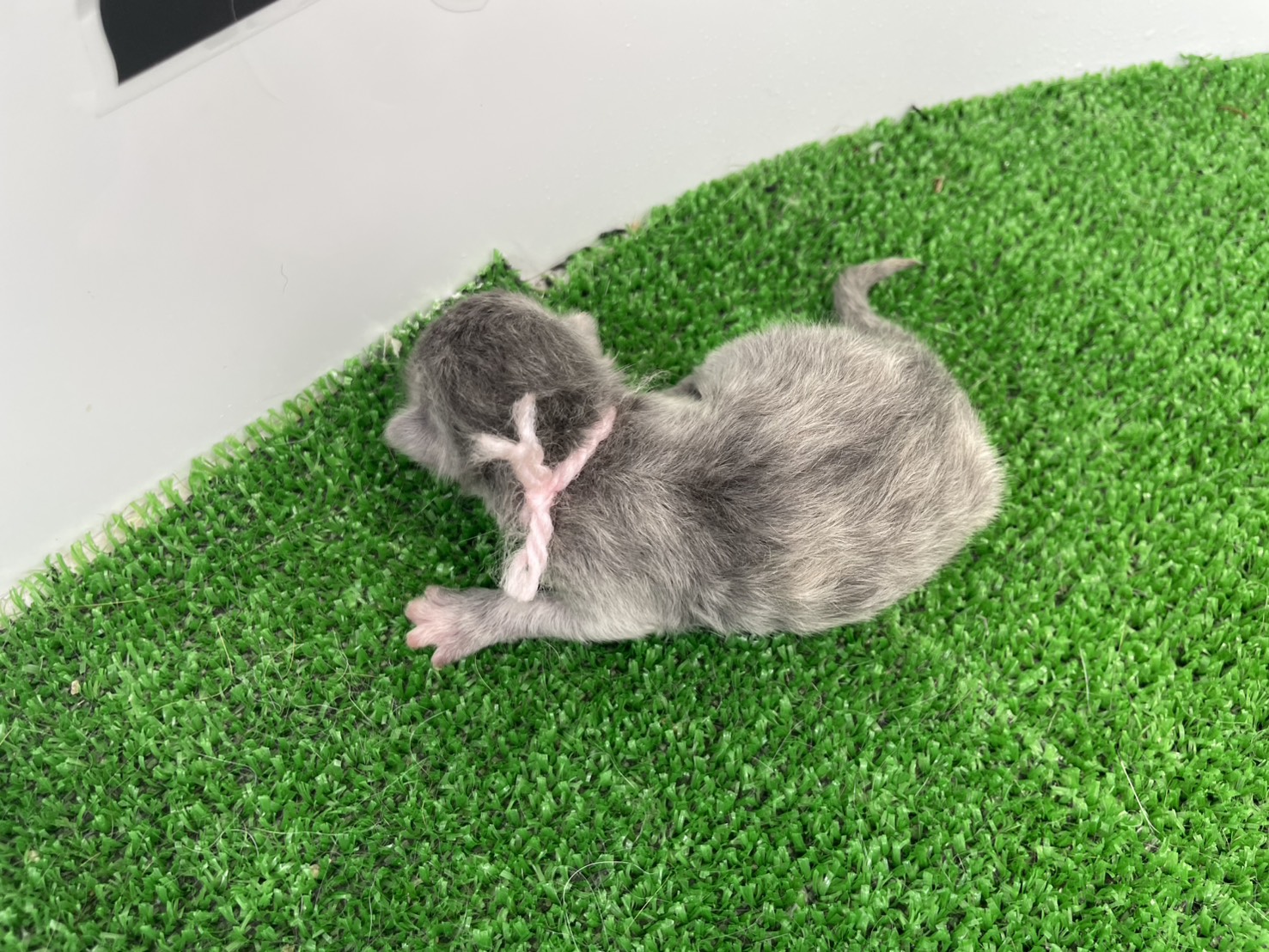 赤ちゃん写真1-3