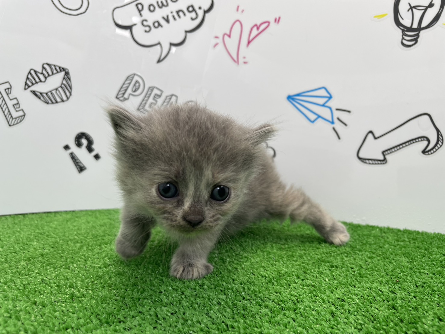 赤ちゃん写真2-1