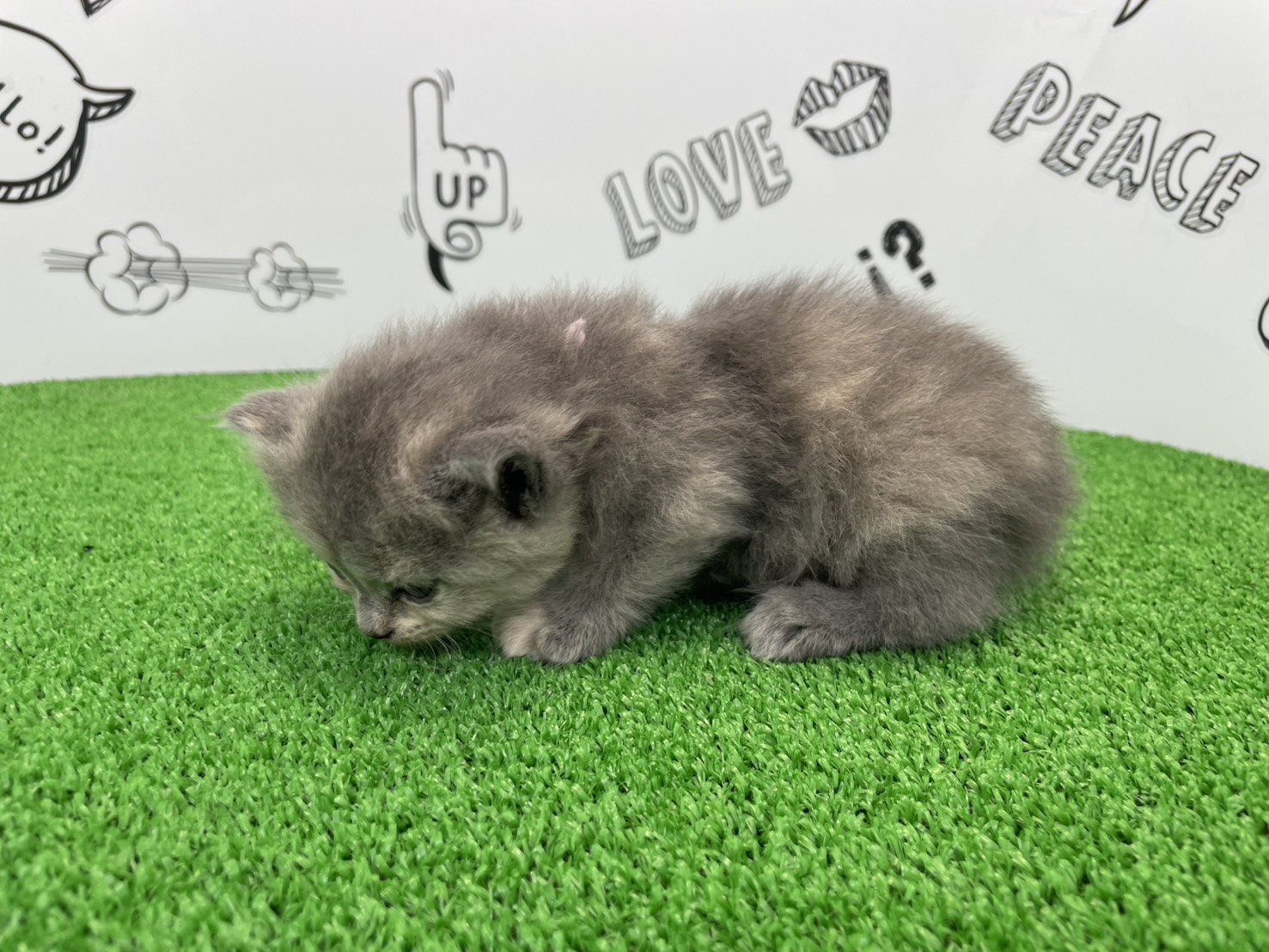 赤ちゃん写真2-2