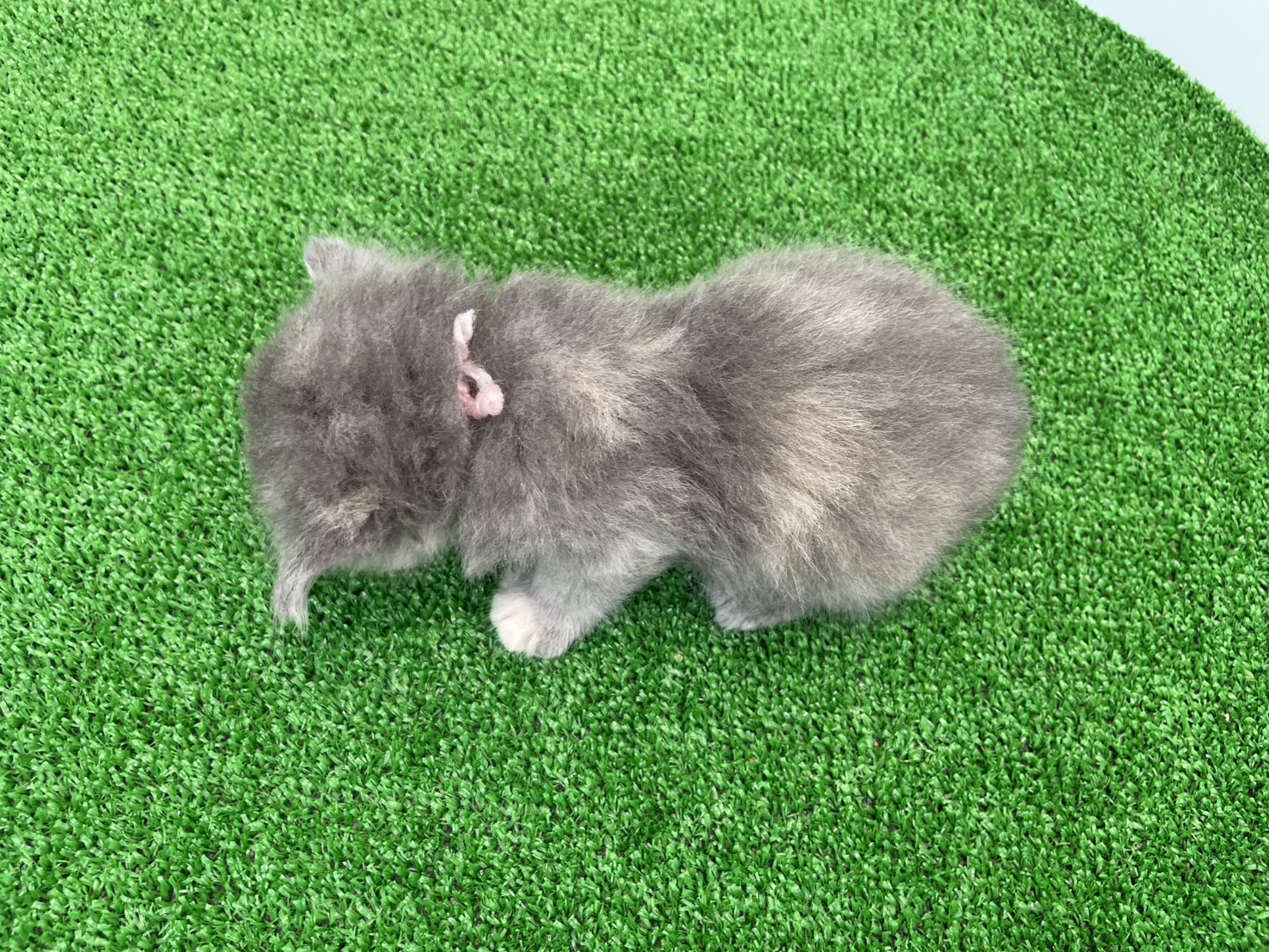 赤ちゃん写真2-3