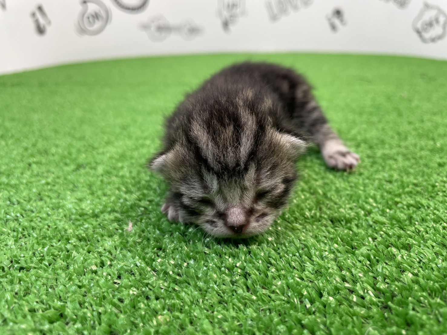 赤ちゃん写真1-1