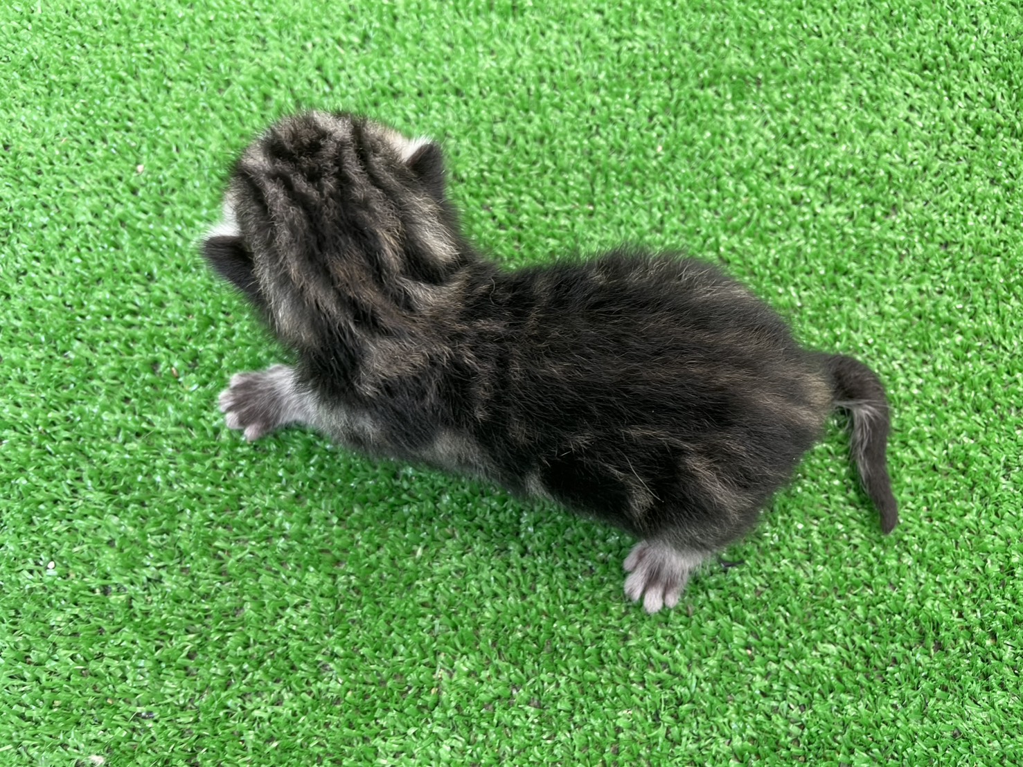 赤ちゃん写真1-3