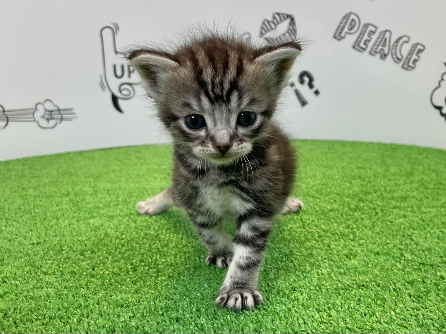 赤ちゃん写真2-1